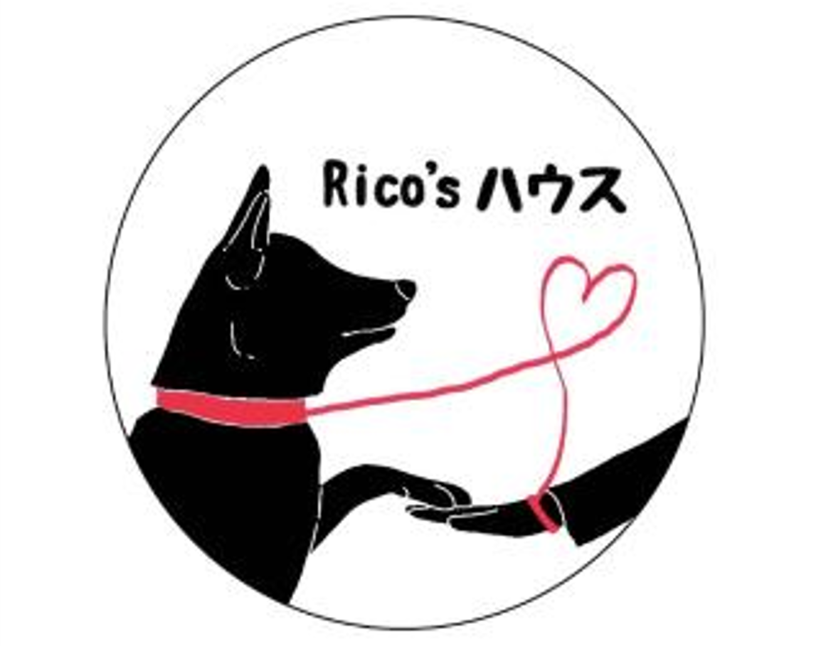画像16