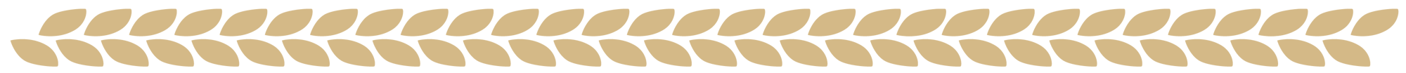 紐 紐