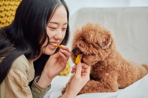 SHINAGAWA URBAN PET LIFE ペットライフマーケット