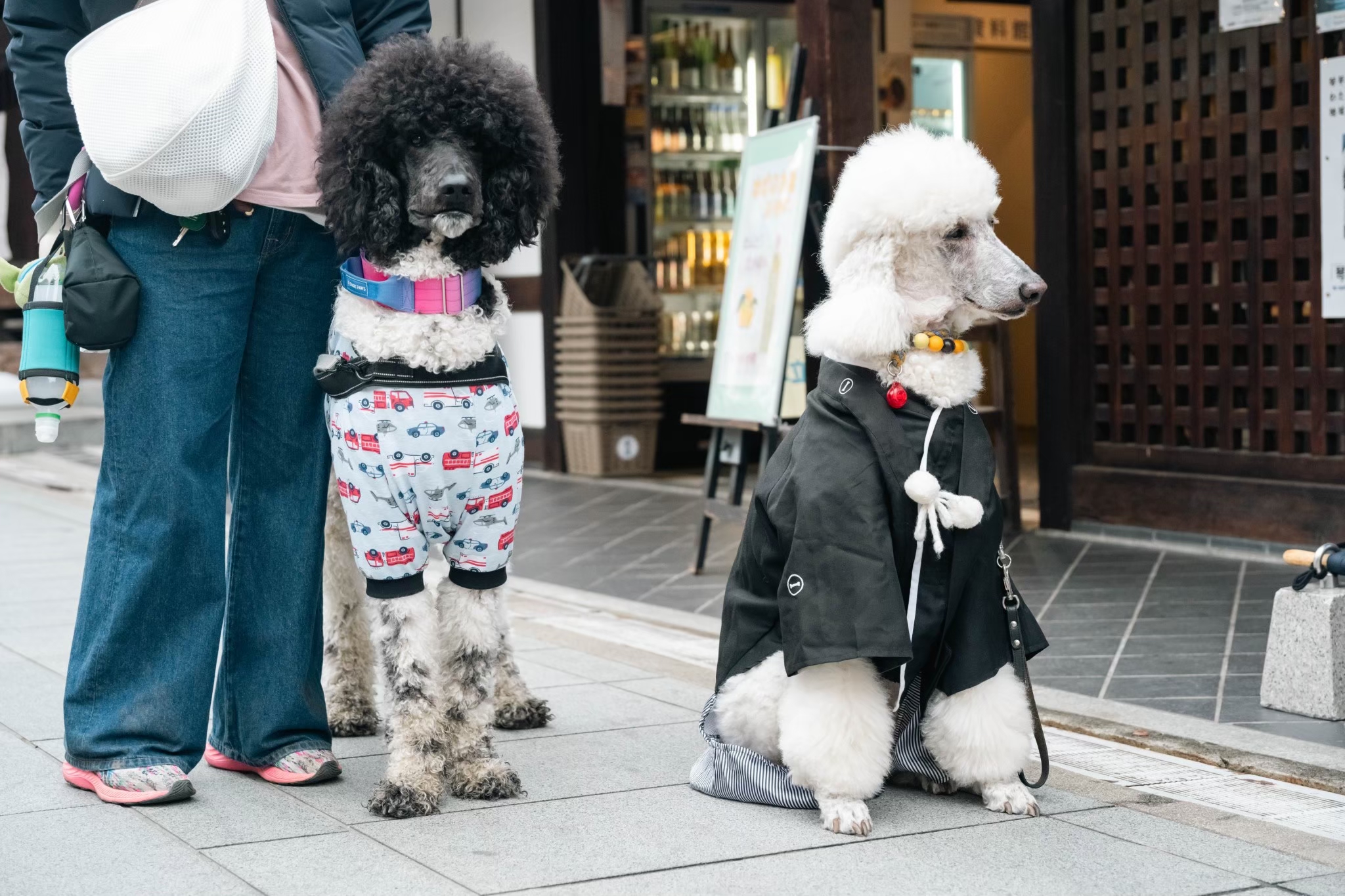 LINE_ALBUM_20250202わん詣イベント写真_250929_10