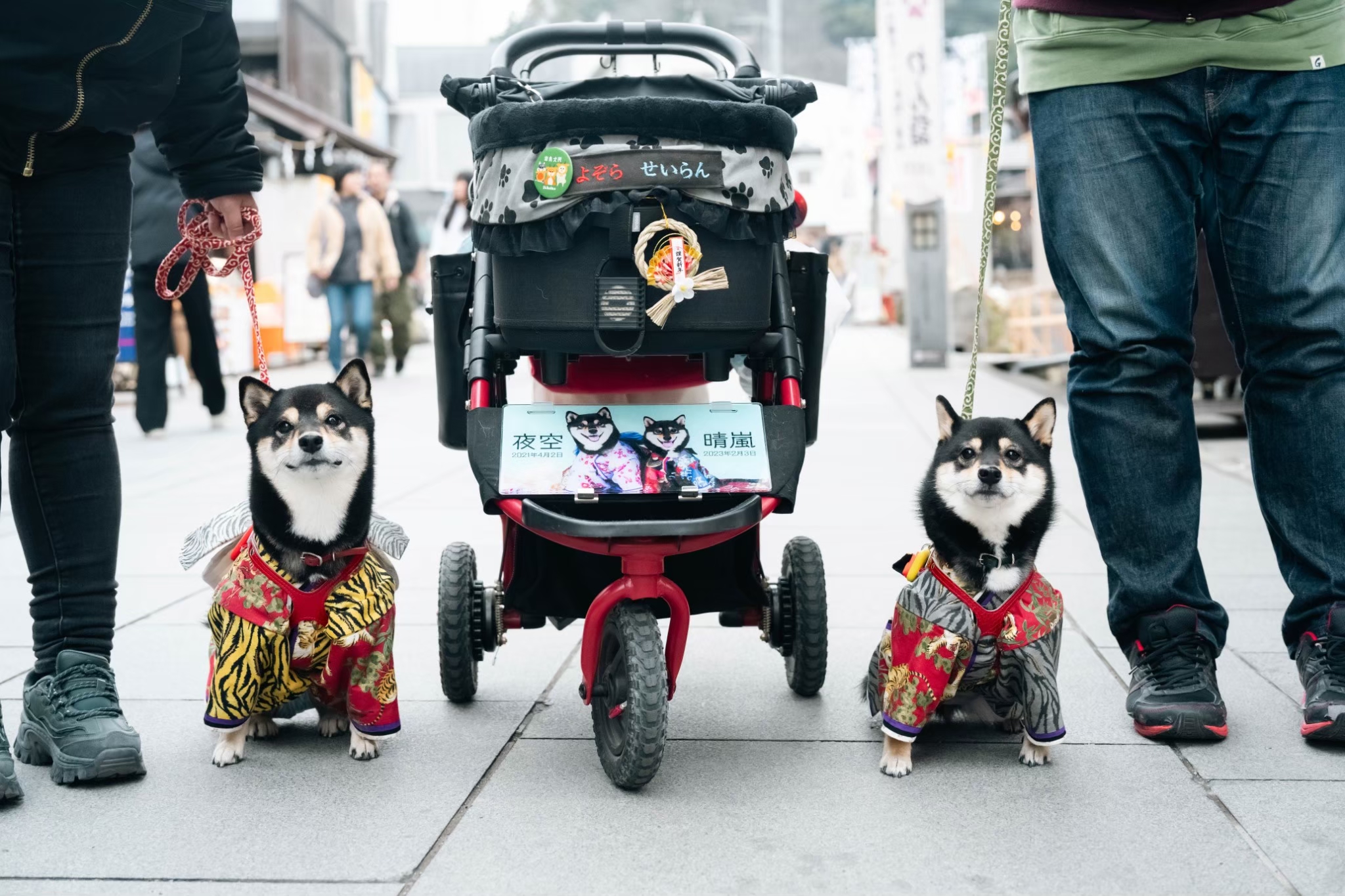 LINE_ALBUM_20250202わん詣イベント写真_250929_9