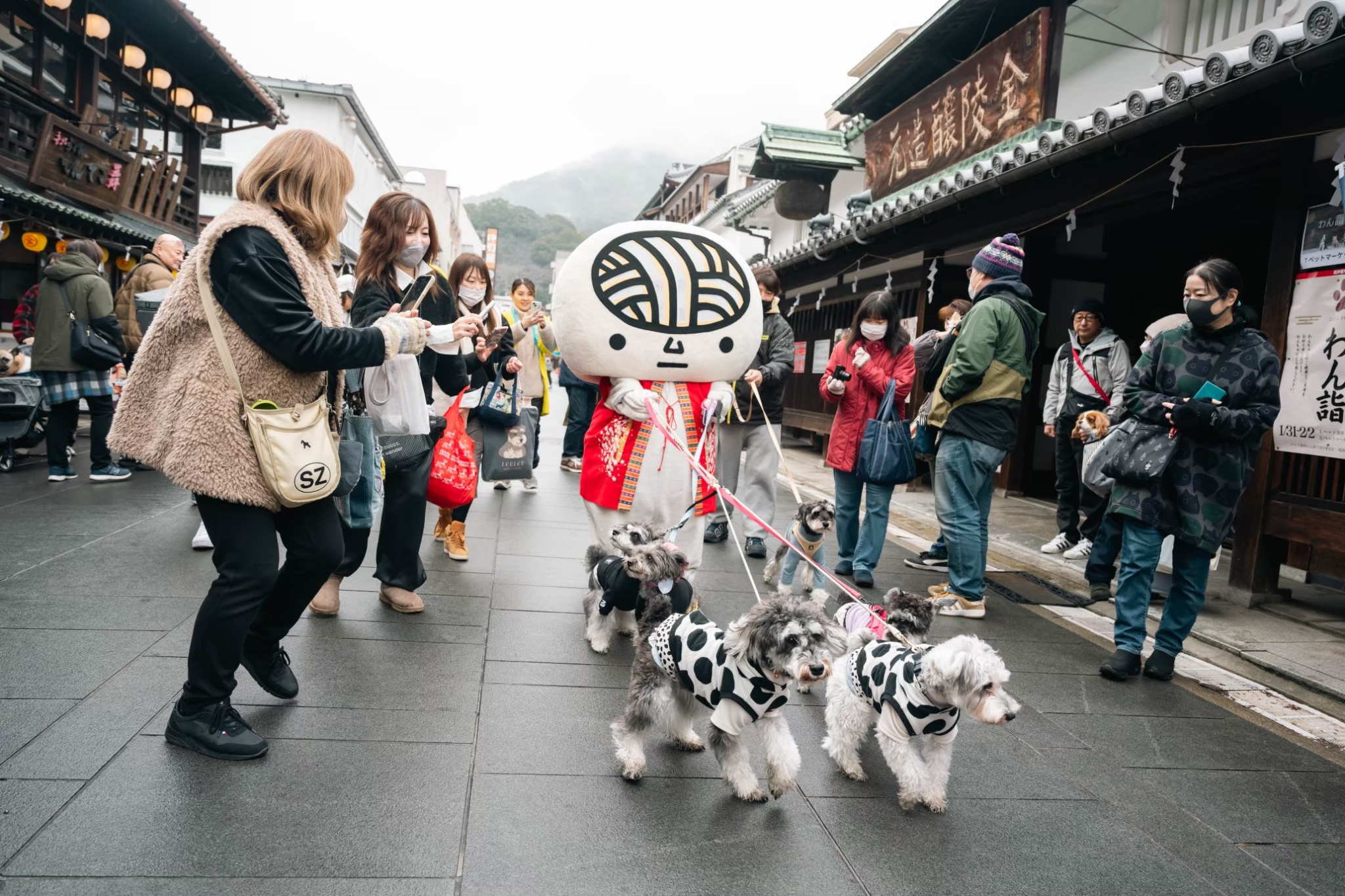 LINE_ALBUM_20250202わん詣イベント写真_251007_4