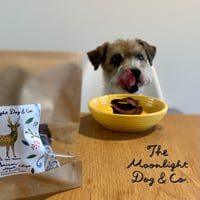 SHINAGAWA URBAN PET LIFE ペットライフマーケット